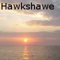 SharonHawkshawe